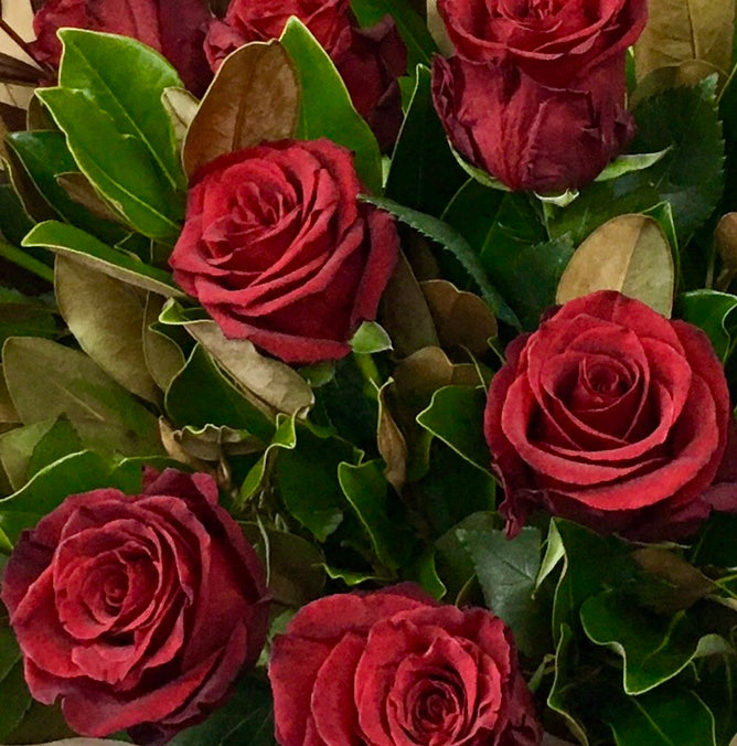 Ruby Red Rose Flower Bouquet – Flower Delivery | Online Florist Figtree ...